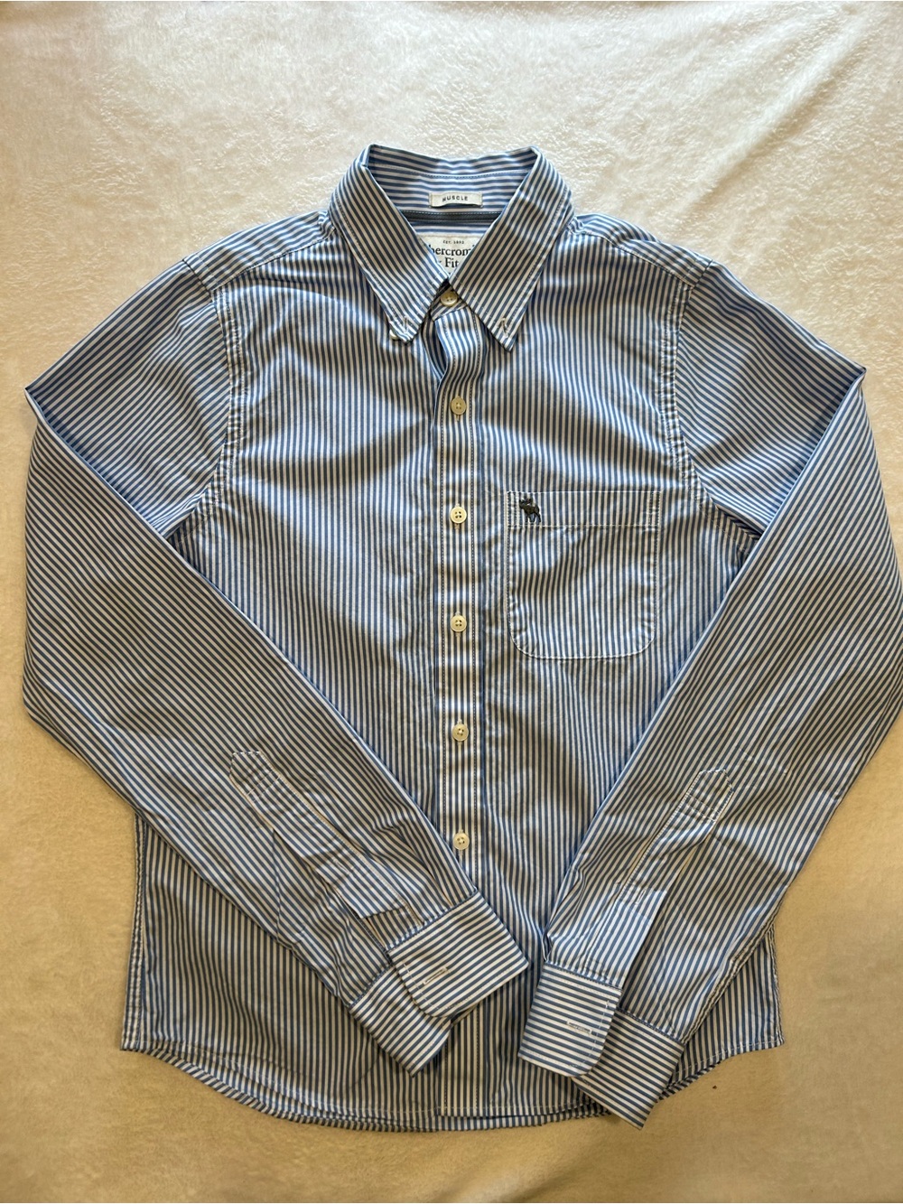 Abercrombie & Fitch Muscle Fit Blue White Striped Button Down Shirt S